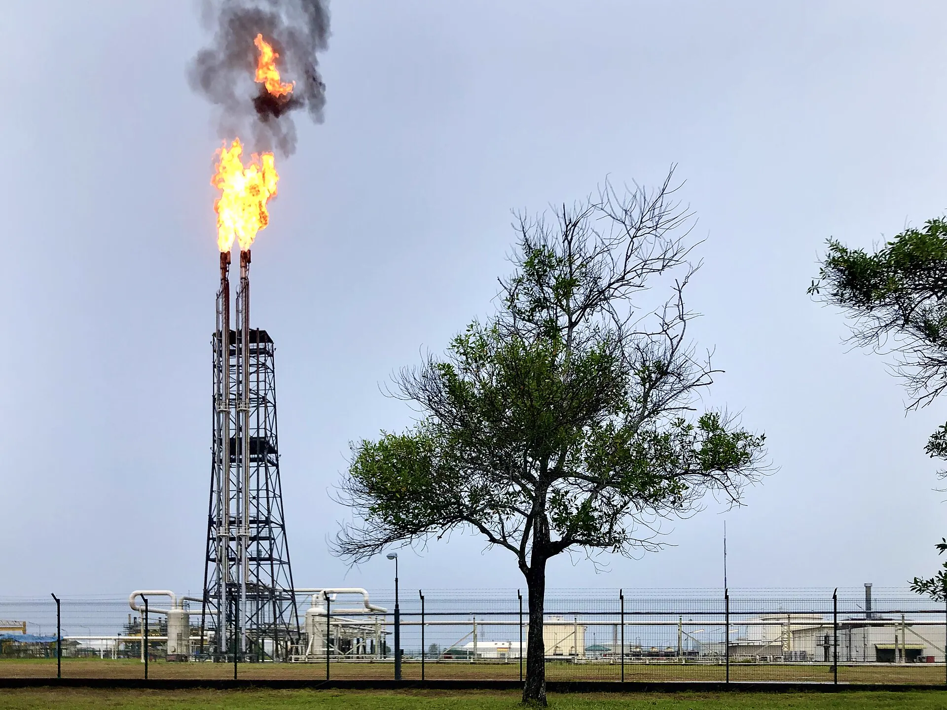 Antorcha y equipos de una instalación de procesamiento energético